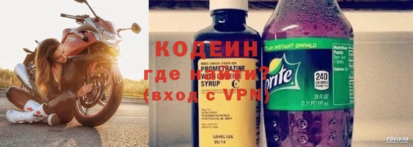 прущие грибы Арсеньев