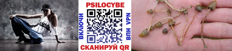 Галлюциногенные грибы мицелий  Морозовск 